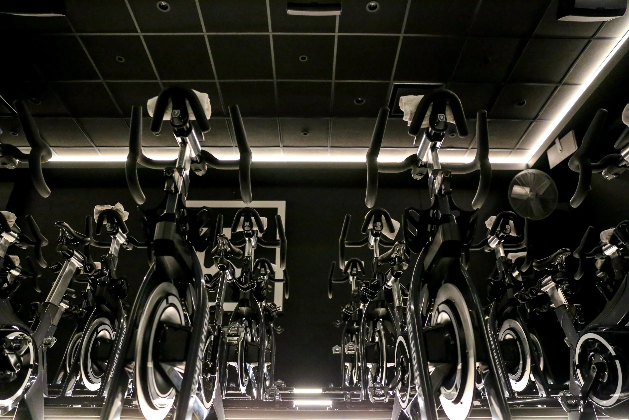 Rows of bikes inside the Wheelhouse Vault
